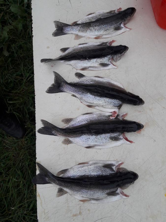 Fish Hotel Akhalkalaki Ngoại thất bức ảnh